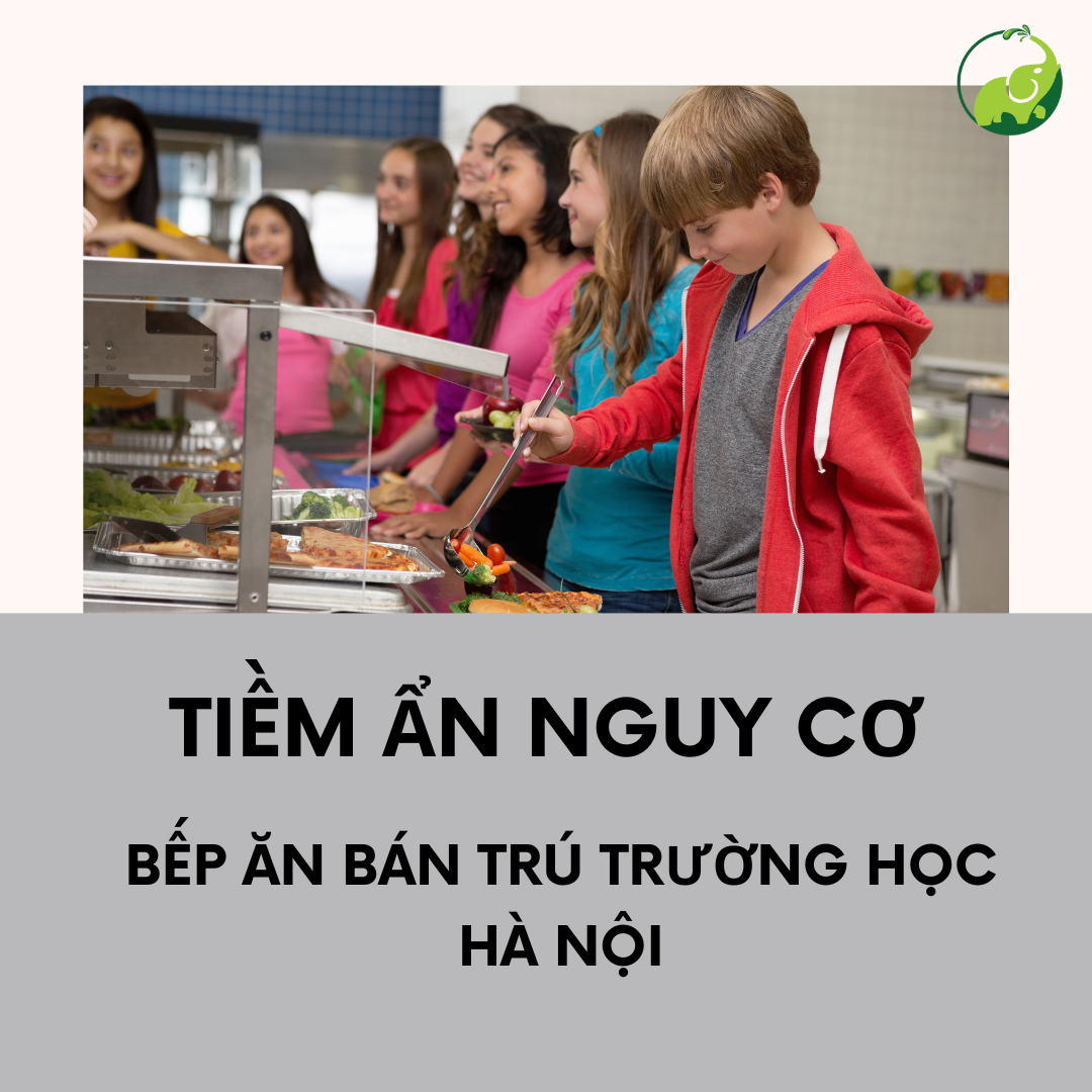 Tiềm Ẩn Nguy Cơ Ở Bếp Ăn Bán Trú Trường Học Hà Nội